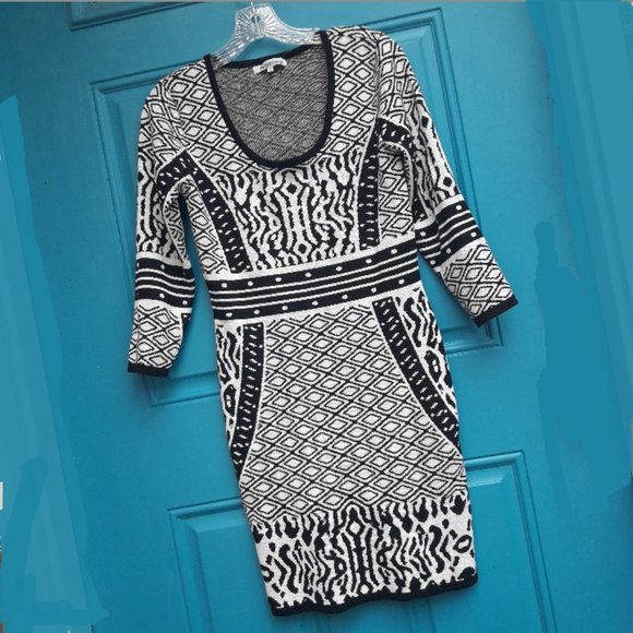 Animal Print Dress Body Con Rayon Knit Gorgeous Wild Black and White Print - Picture 1 of 16